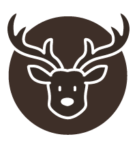 out/pictures/discount_banner/019abac7-1f69-7c63-869f-42c1d4193f21.png Podgląd obrazu