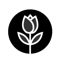 out/pictures/discount_banner/019c9a49-fa21-7ffd-82c6-ecc38bc56528.png Podgląd obrazu