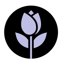 out/pictures/discount_banner/019cae55-622f-763a-8f9b-af3c155931c8.png Podgląd obrazu