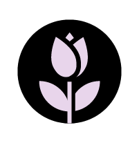 out/pictures/discount_banner/019db9be-3759-796c-a5d2-b986bbcb78d5.png Podgląd obrazu