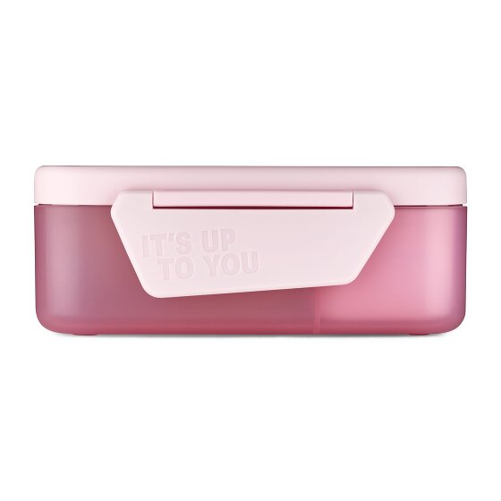 Satch Lunch box 17 cm