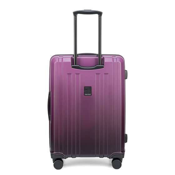 Epic Crate EX Wildlife 4 kółka Zestaw walizek 3-części