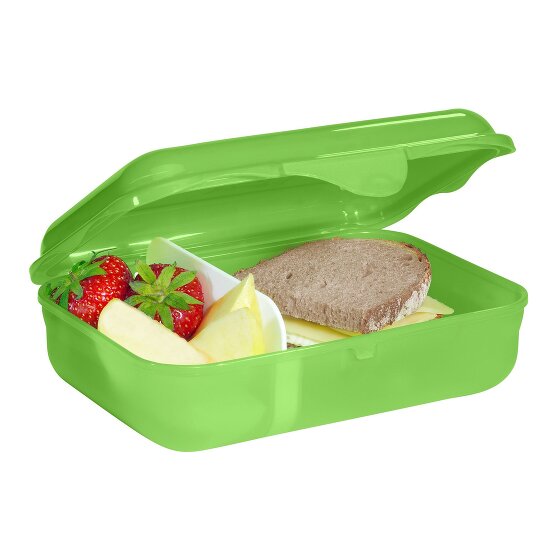 Step by Step Lunch box 18 cm