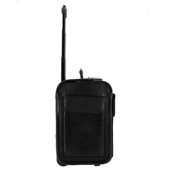 Dermata 2 kółka Walizka z pilotem Skórzany 39 cm