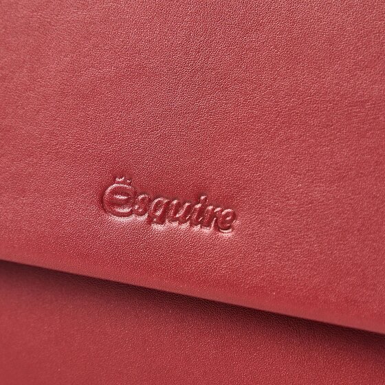 Esquire Silk Portfel Ochrona RFID Skóra 14 cm