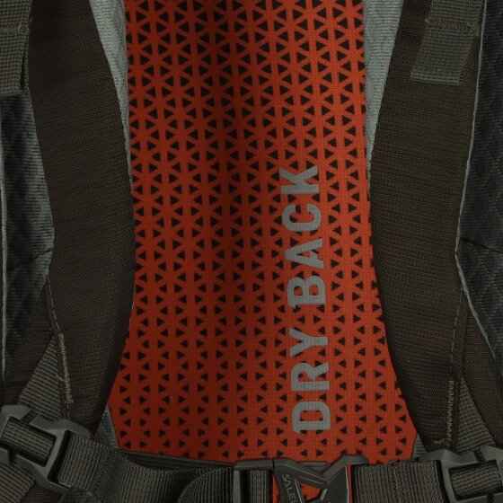 Salewa Alp Trainer 35L Plecak 65 cm