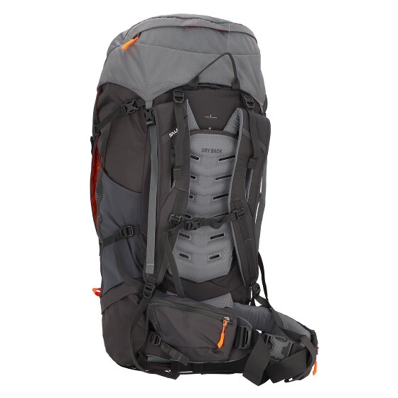 Salewa Plecak Alptrek 65 Pro 81 cm