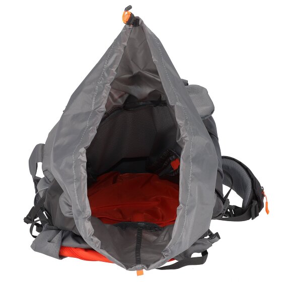 Salewa Plecak Alptrek 65 Pro 81 cm