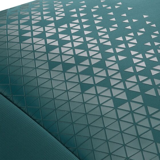 Roncato Crosslite 2-kołowy wózek kabinowy 55 cm