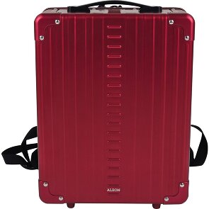 Aleon Plecak hybrydowy 42 cm Komora na laptopa