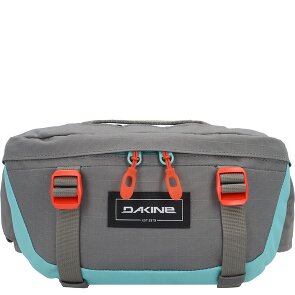 Dakine Hot Laps Saszetka 17 cm