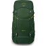  Ace 38 Plecak trekkingowy 64 cm Model green canopy-matcha green