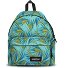 Padded Pak'r Padded Pak'r Plecak 40 cm Model brize palm aqua Padded Pak'r Padded Pak'r Plecak 40 cm Model brize palm aqua