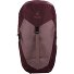  AC Lite 22 SL Plecak turystyczny 30 cm Model ashrose-cassis