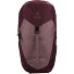 AC Lite 22 SL Plecak turystyczny 30 cm Model ashrose-cassis AC Lite 22 SL Plecak turystyczny 30 cm Model ashrose-cassis