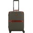  Story Viaggio Trunks 4 kółka Walizka kabinowa 55 cm Model foresta