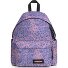  Day Pak'R Plecak 40 cm Komora na laptopa Model furrious rose