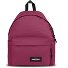 Padded Pak'r Padded Pak'r Plecak 40 cm Model wine burgundy Padded Pak'r Padded Pak'r Plecak 40 cm Model wine burgundy
