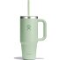  Tumblers Travel Butelka do picia 710 ml Model aloe