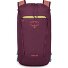  Daylite 0 Plecak 41 cm Model moody burgundy