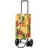 Quattro Shopper Lotta wózek sklepowy 59 cm Model gelb Quattro Shopper Lotta wózek sklepowy 59 cm Model gelb
