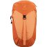  AC Lite 14 SL Plecak turystyczny 54 cm Model peach-tuscany