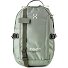  Tight Plecak 39 cm Komora na laptopa Model chlorophyll green-seaweed green