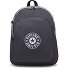  Curtis Plecak L 43 cm Komora na laptopa Model moonlit grey c