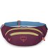  Pas biodrowy Daylite 45 cm Model moody burgundy