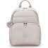  Basic Plus Plecak 40 cm Komora na laptopa Model metallic glow