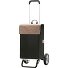 Alu Star Shopper Hera Walizka na zakupy 57 cm Model sand