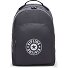  Center Curtis Plecak 43 cm Komora na laptopa Model moonlit grey c