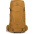  Kyte 38 Plecak trekkingowy XS-S 71 cm Model barley brown