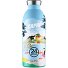  Butelka do picia Clima 500 ml Model panorama blue