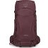  Kyte 38 Plecak trekkingowy XS-S 71 cm Model elderberry purple
