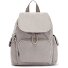  Basic City Pack Mini plecak miejski 29 cm Model grey gris