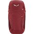  Alp Trainer 20L Plecak 55 cm Model syrah