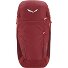 Alp Trainer 20L Plecak 55 cm Model syrah Alp Trainer 20L Plecak 55 cm Model syrah
