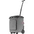  Carrycruiser Plus Walizka na zakupy 52.5 cm Model frame twist silver