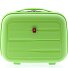  0800 Beautycase 34 cm Model light green