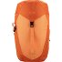 AC Lite 22 SL Plecak turystyczny 30 cm Model peach-tuscany