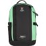  Plecak młodzieżowy Tight z przegrodą na laptopa 38,5 cm Model true black-mint stone
